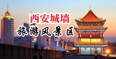 欧美日逼艹逼艹逼逼中国陕西-西安城墙旅游风景区